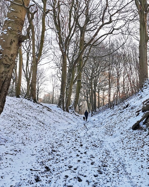 Prestwich Clough through the seasons. Credit: The Manc Group