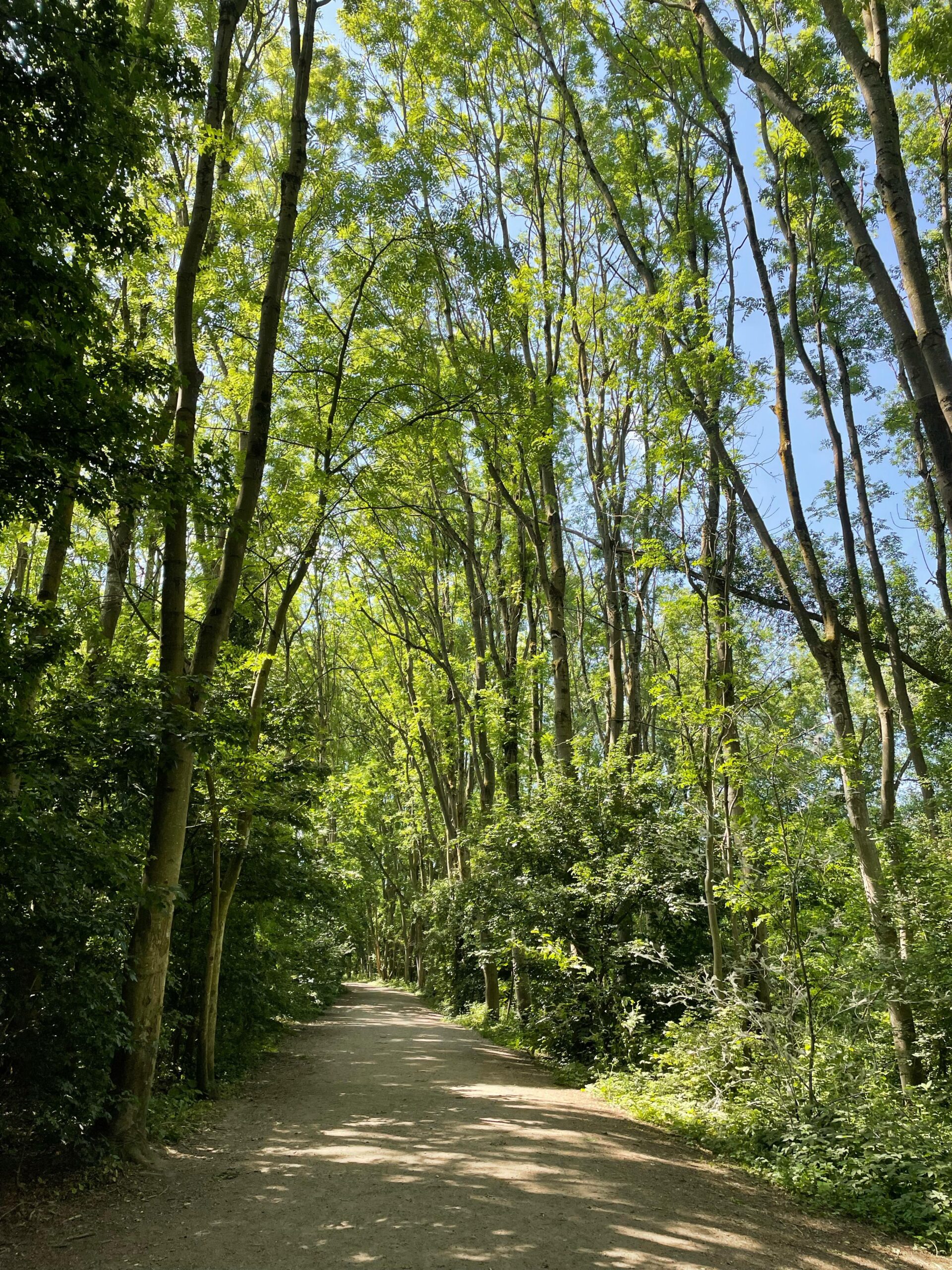 Fletcher Moss in Didsbury